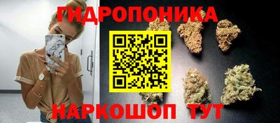 дмт Кунгур