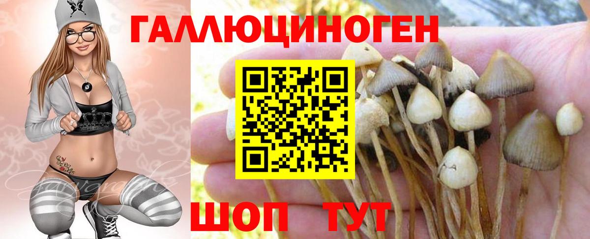 Дубна  Каннабис  ГАШ  Кокаин  MDMA  Наркошоп  Вход с VPN  Меф  